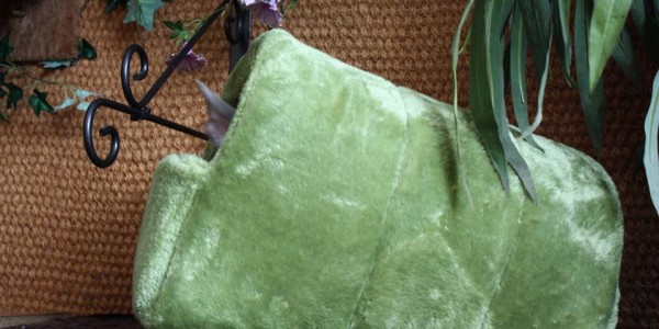 12032131_1093724797313312_8313338699235684569_n